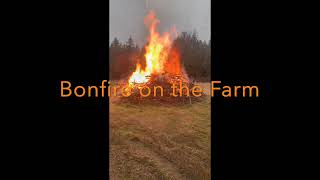 Download the video "Bonfire for Octoberfest"