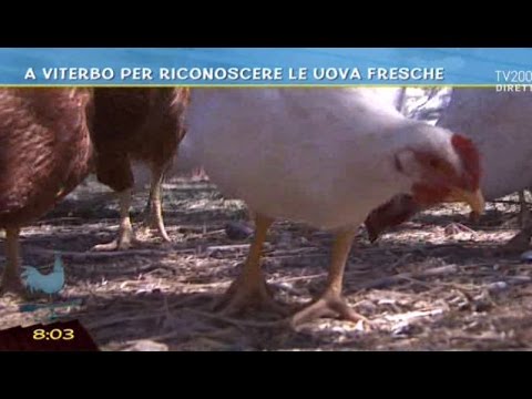 La crema di bioderma da pigmentary nota il prezzo Che candeggiare macchie scure su una faccia