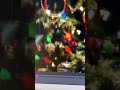 Barney We Wish You A Merry Christmas Change Pitch