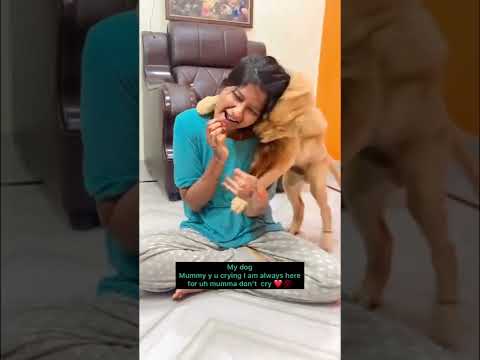 Dog’s love💯🥰 #doglovers #trending #doglovers #dogslove