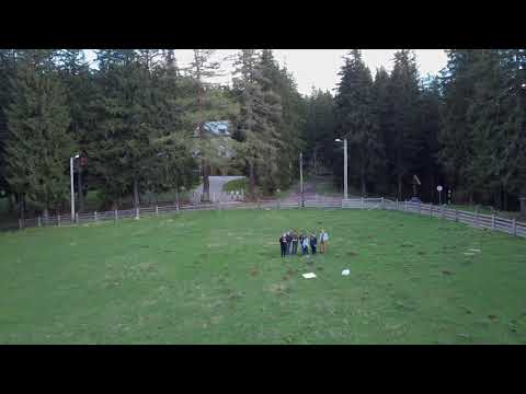 Paltinis mai 2019 Paypoint