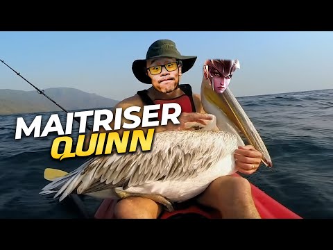 MON CHAMPION PRÉFÉRÉ ? (Quinn Gameplay FR)