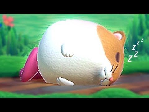 Kirby Star Allies - All Kirby Dream Friends Idle Animations Rick Kine Coo Marx & Gooey