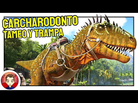 Como Tamear Carcharodonto (+Trampa) | ARK