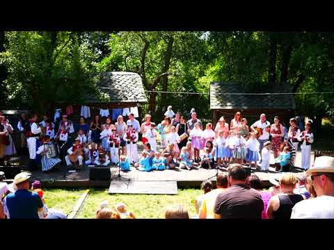 M U Z I K O H R Á T K Y | Malučká nivnička z Nivnice [74. MFF STRÁŽNICE 2019]