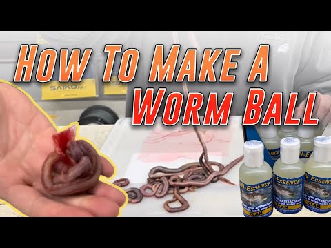 How to Make A Worm Ball - Fishing Worm Balls For Striped Bass