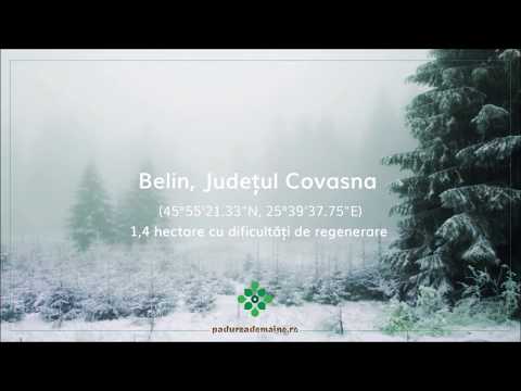 Belin, județul Covasna