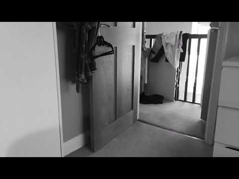 Bartman to the Rescue!!