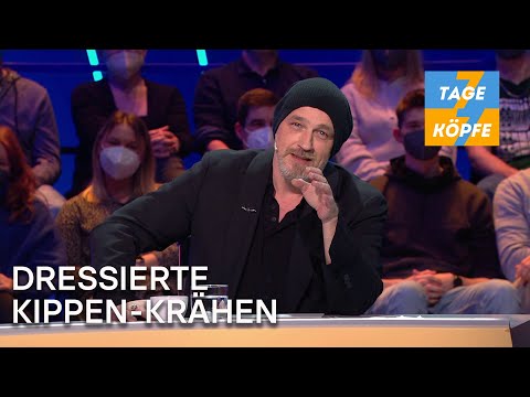 Wenn man Tiere zum Aufräumen verdonnert | Folge 2 | 7 Tage, 7 Köpfe