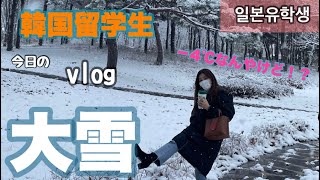 【韓国留学生】大雪降ったよ！？☃️ふつーの日常vlog❄️폭설이 대박! 한국유학생의 일상생활( ·ᴥ· )