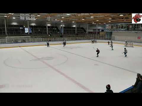 Jää-Ahmat White - Pelicans Musta