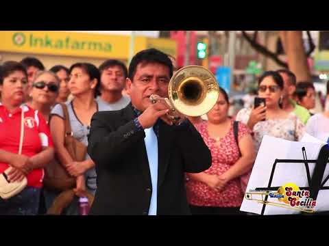 UNICA SANTA CECILIA DE CHIMBOTE   MIX COMPAY GATO