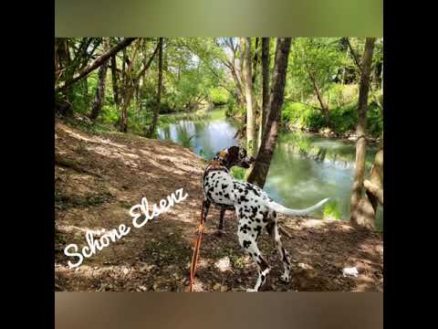 Wandern in Eschelbronn am Bach entlang