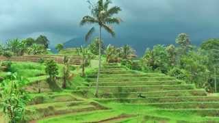 The rice fields of Jatiluwih (Bali)  would be the most beautiful of Indonesia