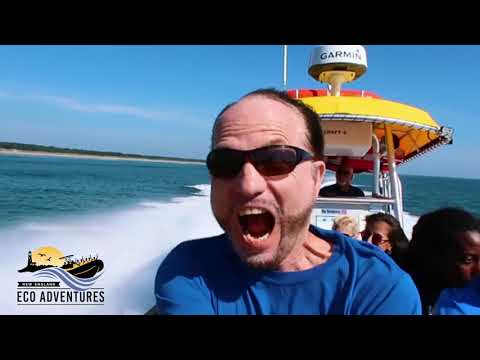 New England EcoAdventures. Adventure lighthouse tour of the Southern Maine Coast.