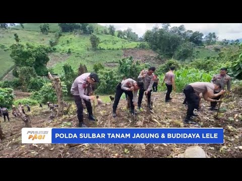 DIT SAMAPTA POLDA SULBAR TANAM JAGUNG &amp; BUDIDAYA LELE