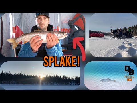 Mission for a SPLAKE! | Underwater footage | East Blue Lake, Duck Mountain Prov. Park!