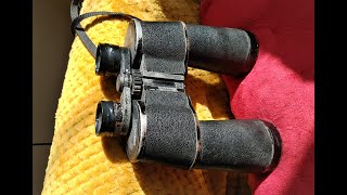 Disassemble and clean: Dioptex binoculars