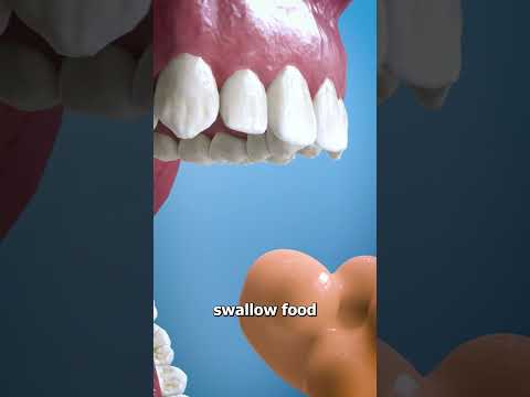 What Is The Purpose Of Your Uvula? 🤔