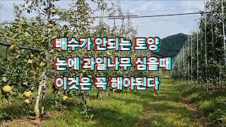 배수가 안되는 토양이나 논에 과일나무 사과나무 심을때는 이것은 꼭 해야된다