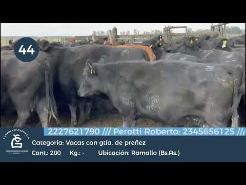 Lote VC CGP - Ramallo Bs As