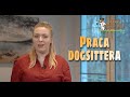 Opiekun zwierząt / Petsitter – dodatkowy zarobek z Alvis - 1