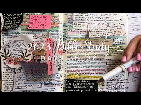 Days 35 and 36 Exodus 16-21 | Bible study for beginners | Study the Bible in One Year