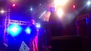 Das Ich - Schwanenschrei (live 01.05.2014 Moscow Russia)