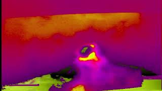 Hotel Noir | The Legendary Pink Dots