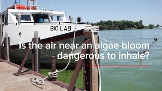 HABs FAQs: Is the air near an algae bloom dangerous to inhale?