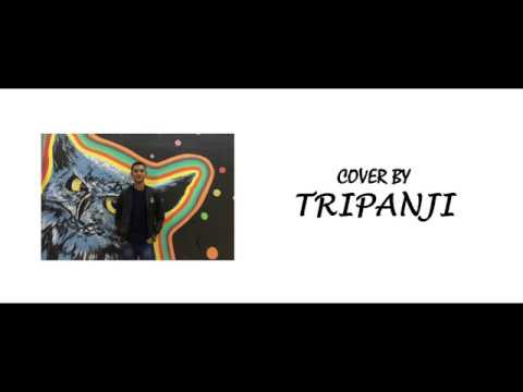 Lagu Alas 2018 | Abadi Selian - Antat Takhuh  (Cover by Tripanji)