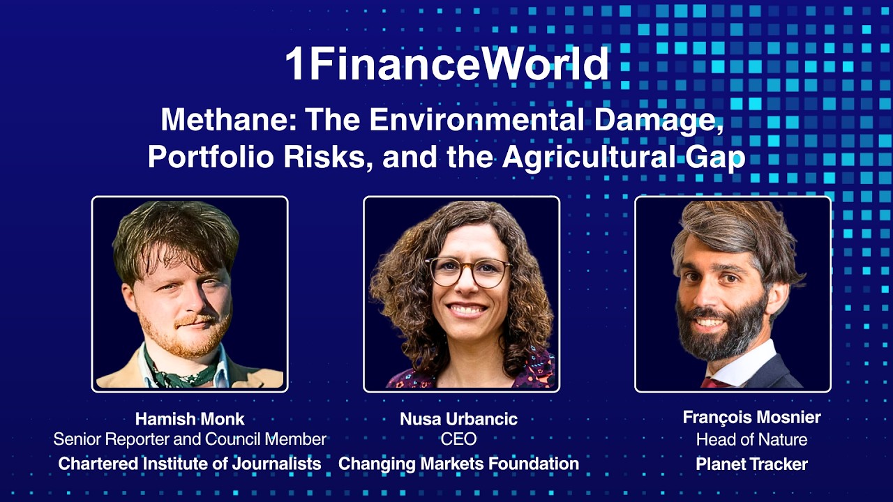 Methane: The Environmental Damage,  Portfolio Risks, and the Agricultural Gap