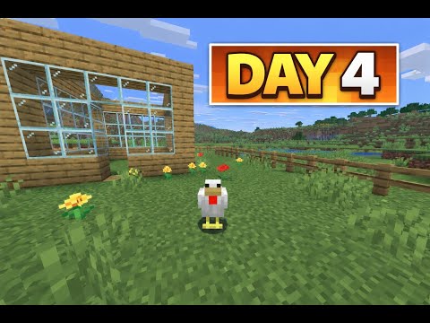 DAY 4 – I Finally Got My First Chicken 🐔