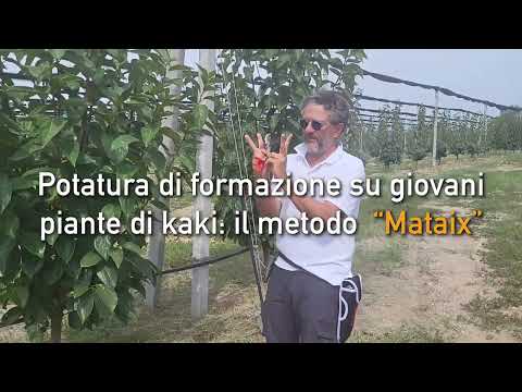 KAKI: PRIMI PASSI DEL SISTEMA "MATAIX"