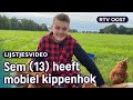 Kippenstress door luchtballon en fipronilcrisis: 5x kippenboeren | RTV Oost