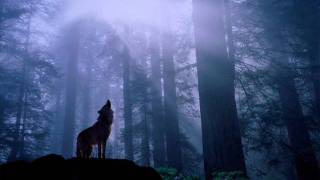 Judy Dyble - Dreamtime