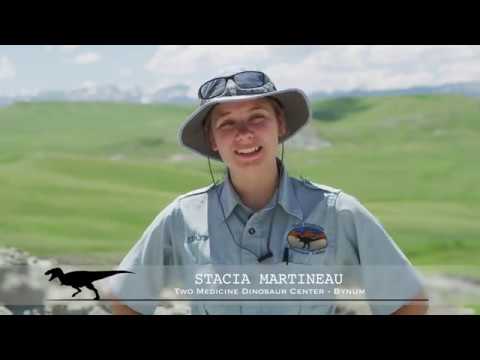 蒙大拿恐龍中心 | 蒙大拿恐龍之路 (Montana Dinosaur Center | Montana Dinosaur Trail)