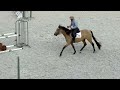 POULICHE PRE 3 ANS DEBOURREE