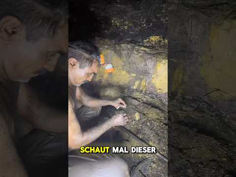 700 Meter Unter Der Erde Kämpfen Die Bergleute Ums Überleben