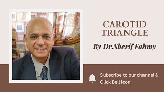 Dr. Sherif Fahmy - Carotid triangle