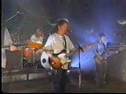 The Mutton Birds - White Valiant (live)