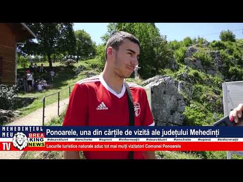 PONOARELE,  UNA DIN CĂRȚILE DE VIZITĂ ALE JUDEȚULUI MEHEDINȚI
