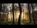 Wardruna - Solringen 