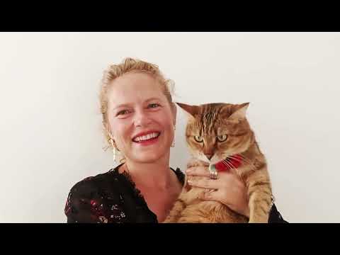 It must be poppy love - Remembering The Fallen Poppy Cat Collar