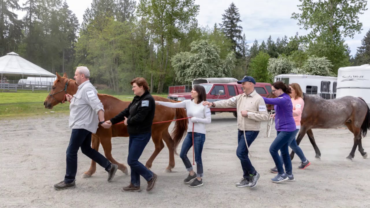 Leadership with Horses - Microsoft Worldwide Services