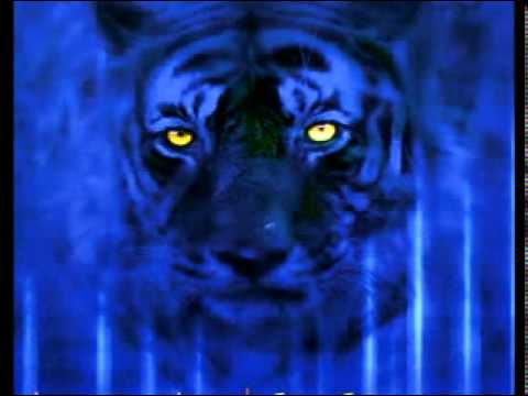 James Asher - Temple Gates