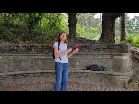 Blackdown walk late summer