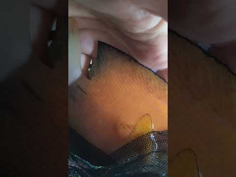 black ich/ich on tang