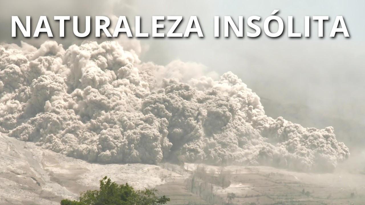 NATURALEZA INSÓLITA | Fenómenos naturales que No parecen reales