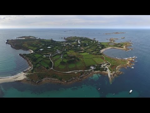 download lagu mp3 mp4 Scilly Birding, download lagu Scilly Birding gratis, unduh video klip Scilly Birding